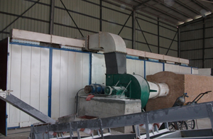 dryer for briquettting plant