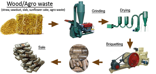 biomass briquetting plant