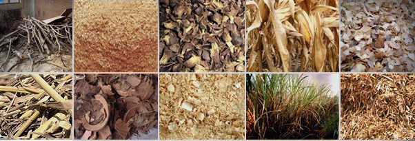 biomass materials