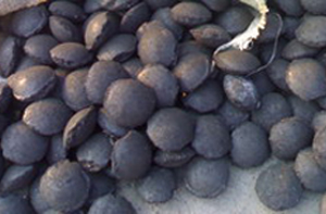 coal briquettes