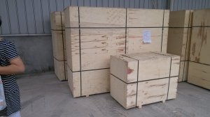 packing of GCZ26 shisha charcoal briquette machinery